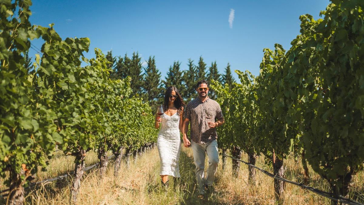 KANZLER ESTATE TASTING