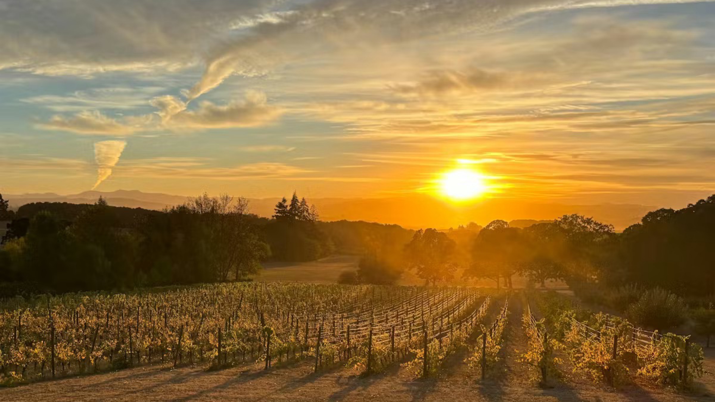 Eola Hills Legacy Estate Spring Wine Tasting