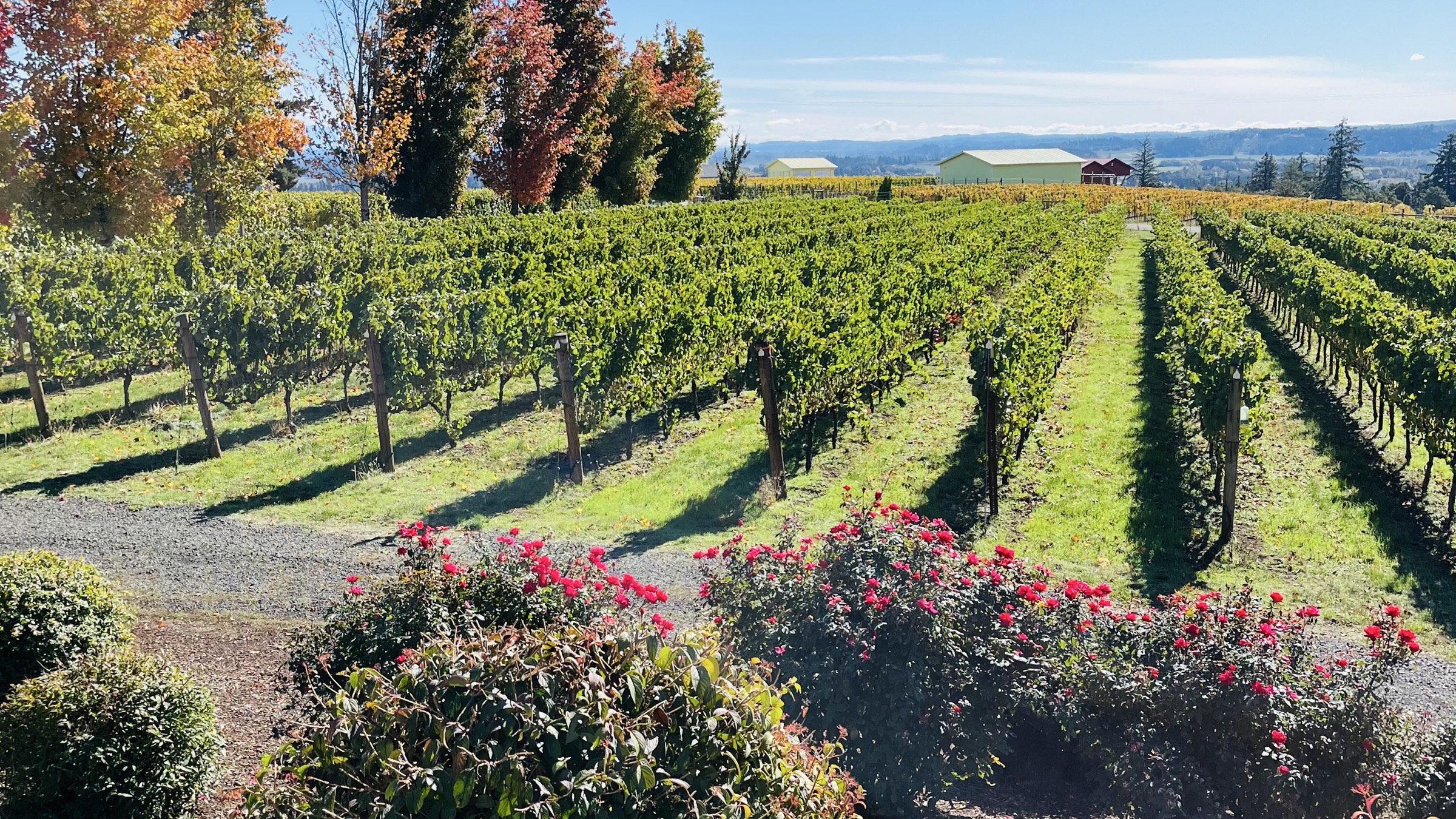 Elevated Tour and Tasting