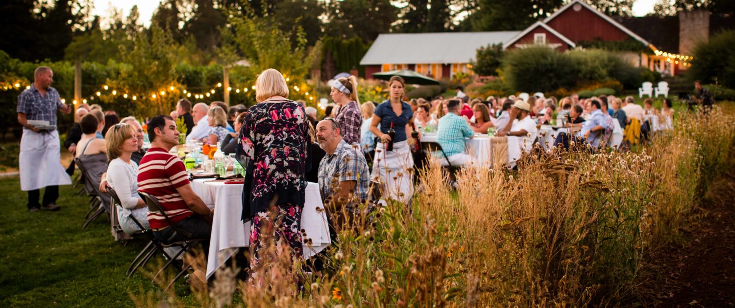 Field and Vine Dinner in the Field at WillaKenzie Lounge